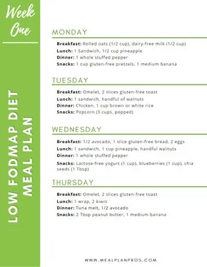 Low Fodmap Meal Summary