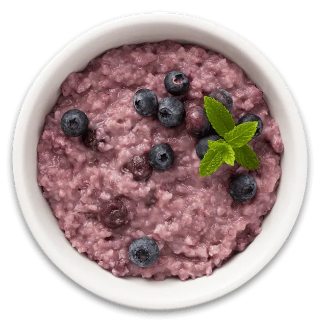 Blueberry-Oatmeal-Quinoa