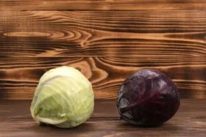 is Cabbage Low FODMAP