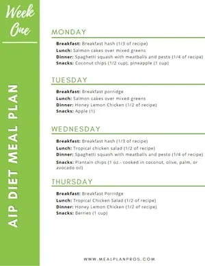 AIP Diet Meal Summary