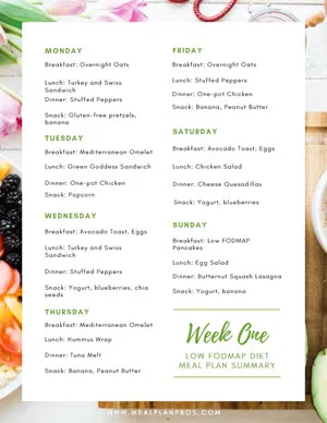 Low Fodmap Meal Summary