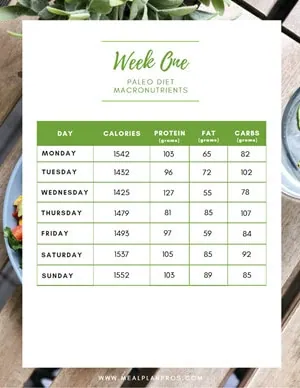 Paleo Diet Macronutrients