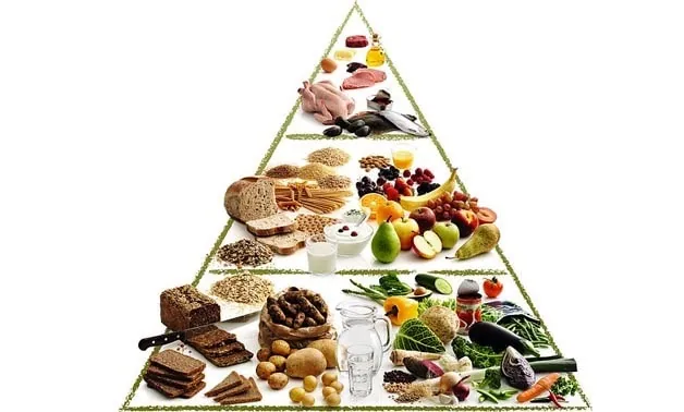 Nordic Diet Pyramid