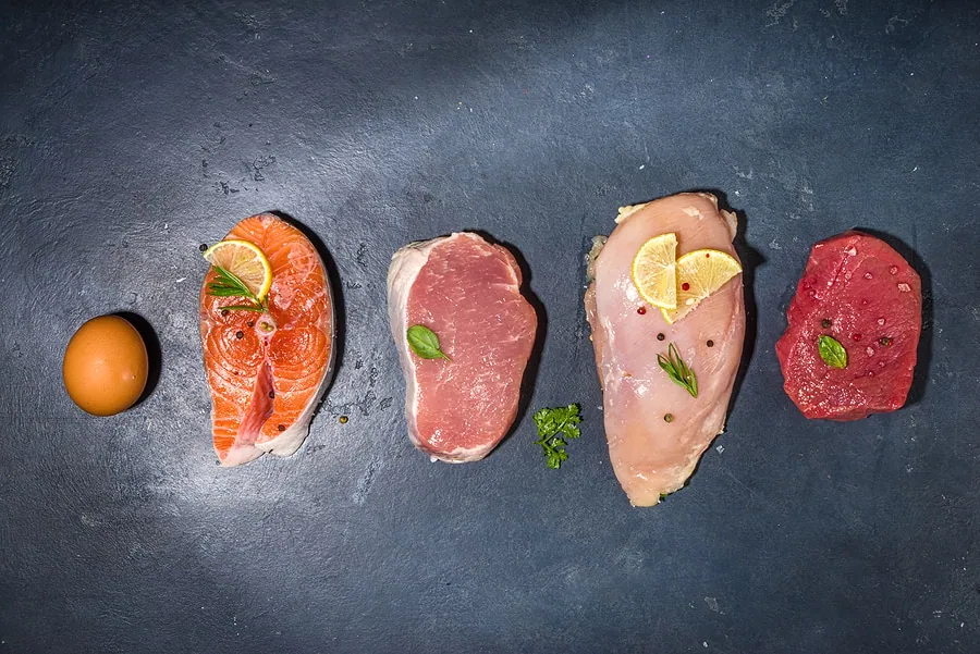 Various Protein Sources