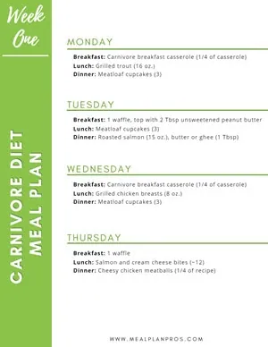 Carnivore Diet Meal Plan Week one