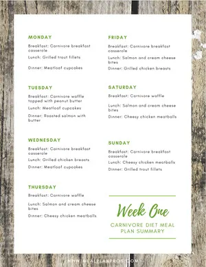 Carnivore Diet Meal Plan Weekly Summary