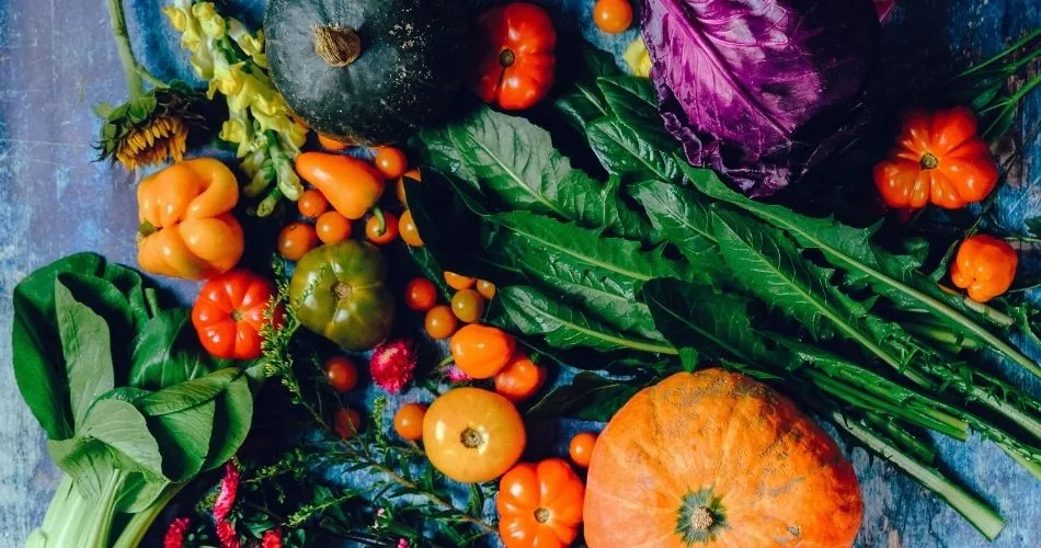 13. Why No Vegetables On A Carnivore Diet
