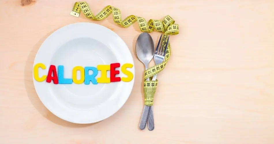16. How Many Calories On Carnivore Diet