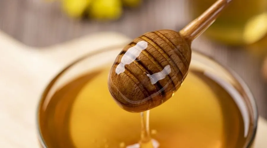 A Note About Honey On the Carnivore Diet&nbsp;