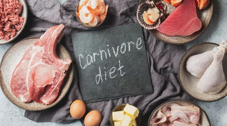 Health Issues And the Carnivore Diet 