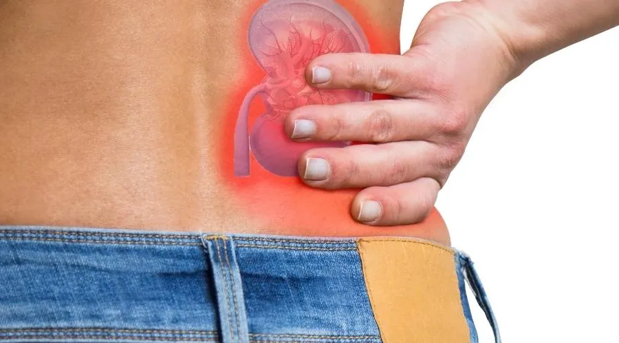 Heavy Burden On The Kidneys Liver