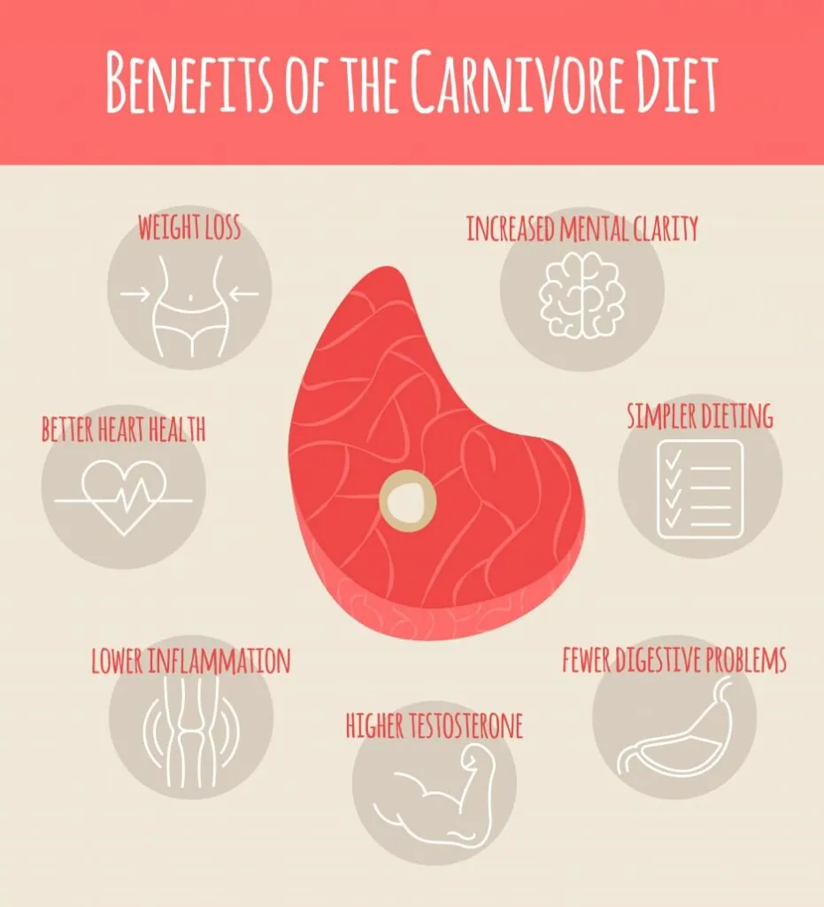 Other Health Benefits of the Carnivore Diet