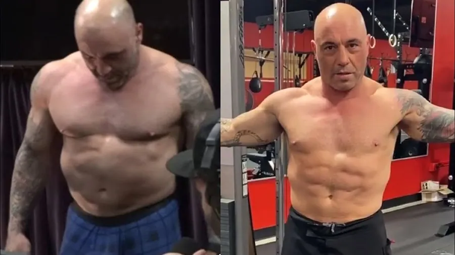 Joe Rogan Before And After Carnivore Diet