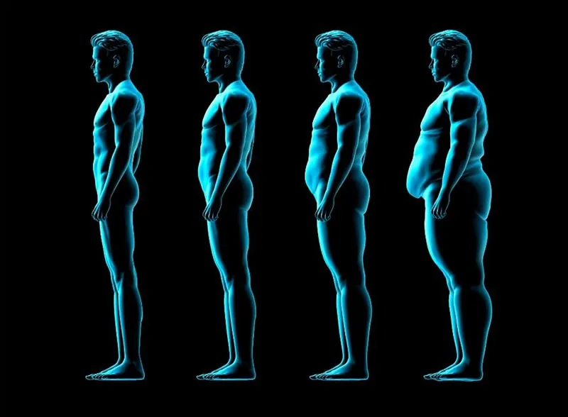 Endomorph Body Spectrum