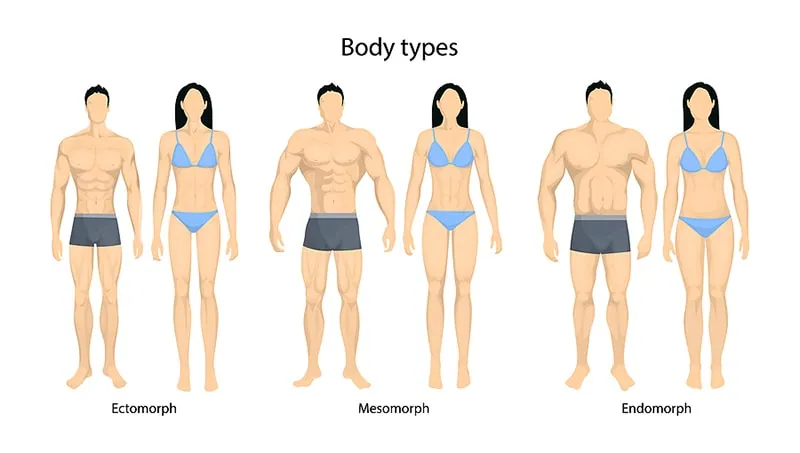 Endomorph Body Type