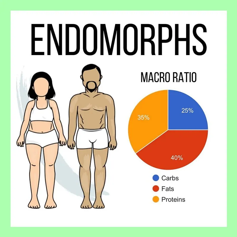 Endomorph Macros