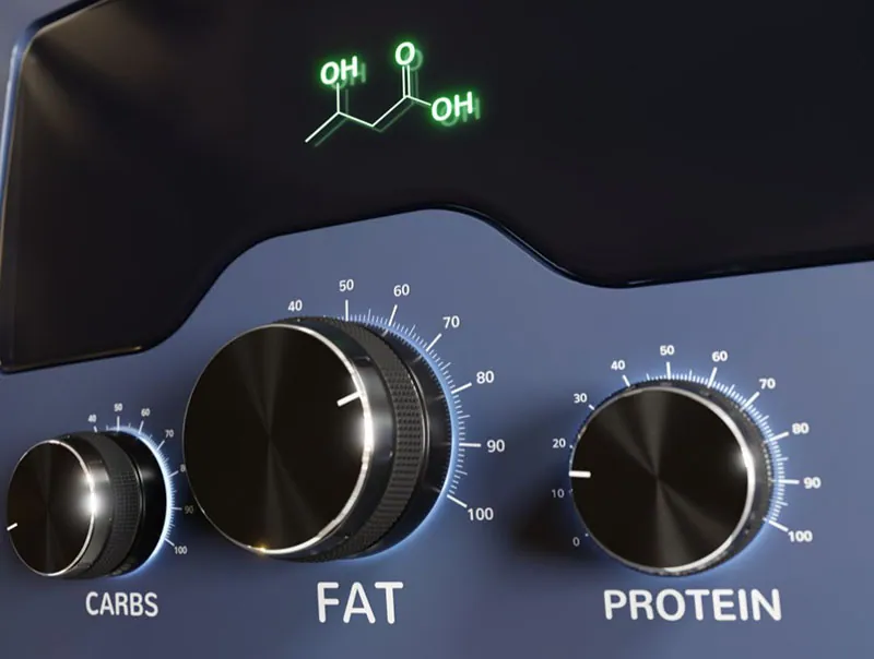 What Are Macros for Carb Cycling