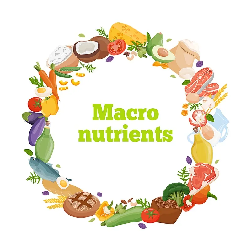 track of macronutrients