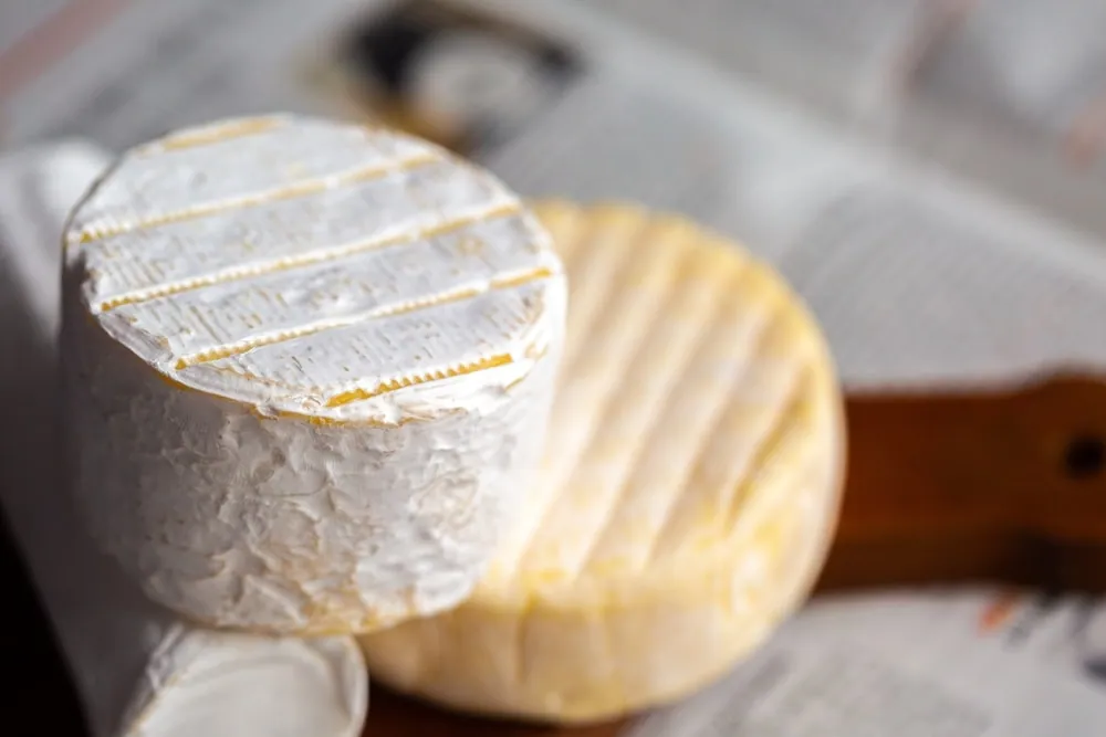 Camembert,On,Board ,Cheese,For,Advertising ,For,A,Large,Board