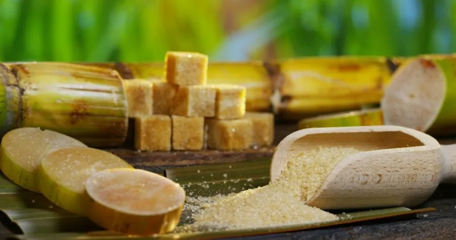 Pure cane sugar